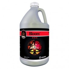 Cutting Edge Bloom    Gallon