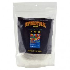 Supernatural Super Soak 500 gm
