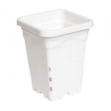5"x5" Square White Pot, 7" Tall, 100 per case