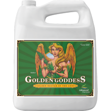 Golden Goddess 4L